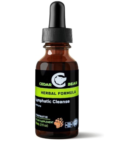 Cedar Bear Lymphatic Cleanse – Natural Herbal Immune Support, 2 fl oz